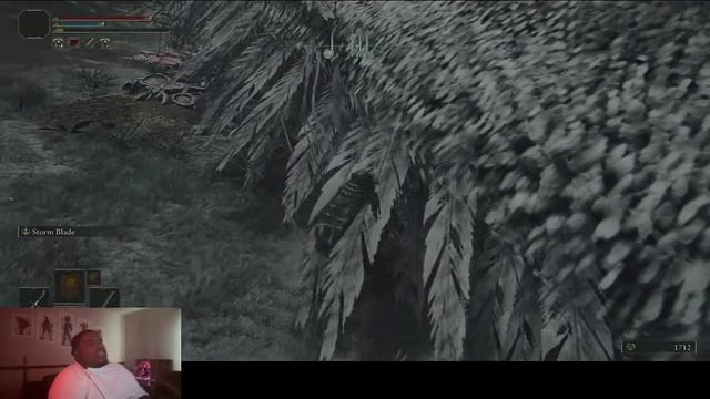 Where to find Elder Dragon Greyoll in Elden Ring! Gain Easy Levels смотреть онлайн