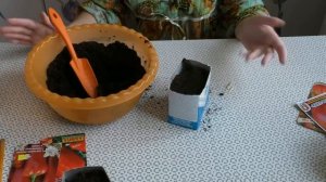 Особенности посева томатов и перцев на рассаду