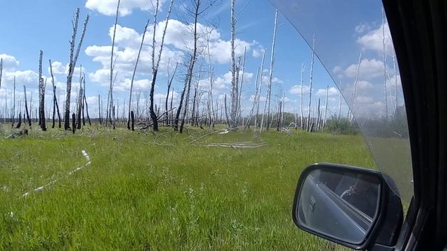 Нифонтово деревня в Называевском районе Омской области/Nifontovo is a village in the Omsk region