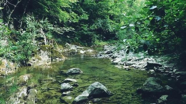 Звуки природы. Каньонный горный ручей. Расслабляющий шум воды для релаксации, сна и отдыха 1,5 часа смотреть онлайн