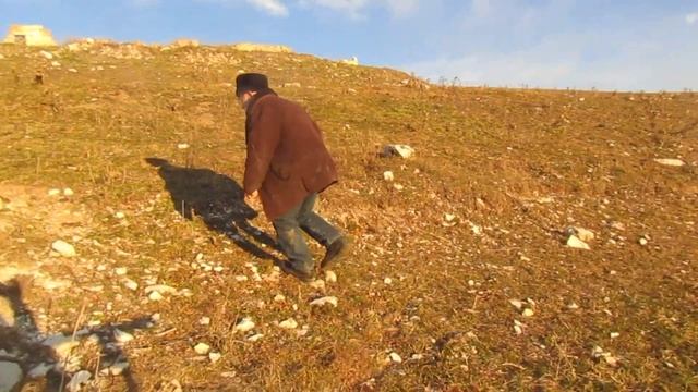 НОЕВ КОВЧЕГ 11.11.21.г/Эльмирзаев С-Э. в БАСХА.ЧЕЧНЯ/продолжение смотреть онлайн