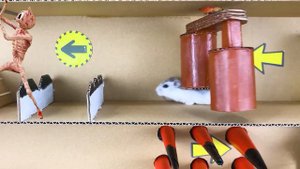 ALL SIREN HEAD Trevor Henderson - Hamster Maze with Traps | HAMGO & Monster