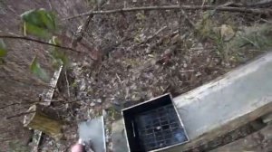 Утка горячего копчения! Рецепт. Быстро и очень вкусно. Вкусная и сочная дикая утка!