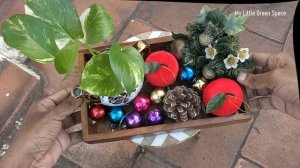 Christmas Tray Decoration | Table Top Plant Decoration Ideas | Christmas Series | Episode-3