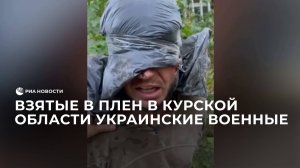 Взятые в плен в Курской области украинские военные