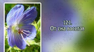 Гимны надежды 121 От сна восстав (-)