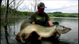 Самая большая в мире пойманная рыба # Щука 29, 600