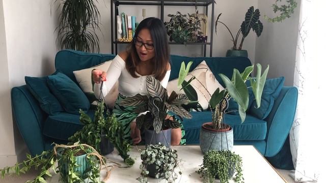 HOUSE PLANT HAUL | LONDON | COLUMBIA ROAD FLOWER MARKET