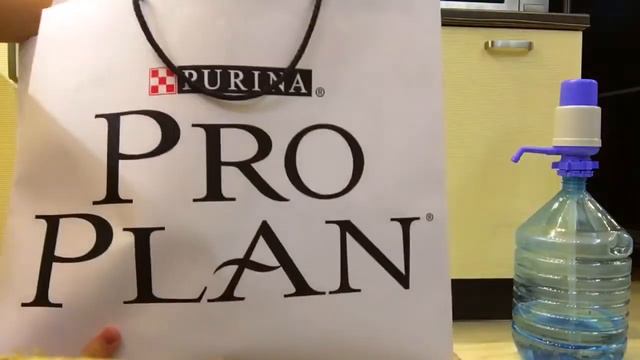 ВЫСТАВКА СОБАК «РОССИЯ 2017» ANNY MAGIC!!! Крокус экспо Москва. смотреть онлайн