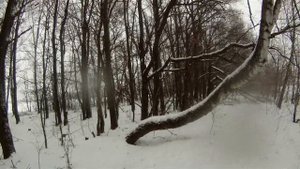 Первый зимний выезд.Тест Fisher 11