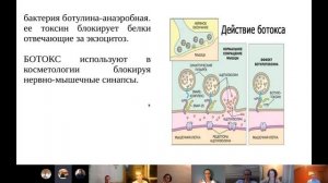 Устройство нейрона и синапса.Нейропластичность.