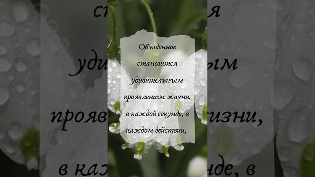 В каждый миг знакомлюсь с собой заново #энергия #жизнь #психолог #саморазвитие #эзотерика смотреть онлайн