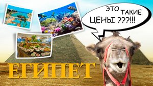 ЕГИПЕТ. Обязательно посмотрите это видео перед поездкой в Египет. Что нужно знать перед поездкой.