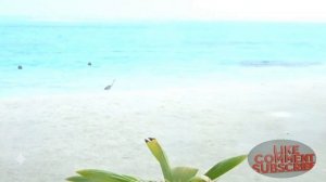 Sun Siyam Olhuveli Maldives | Beach Villa Suite | Water Villa তে কেমন ছিল আমাদের Experience 2023