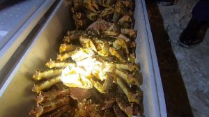 50 живых крабов не удалось увезти из Мурманска