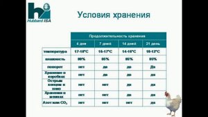 Как сохранить инкубационное яйцо?