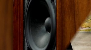 Обволакивает. Обзор полочной акустики Old School Monitor