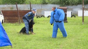 Кинологической службе ФСИН исполнилось 115 лет