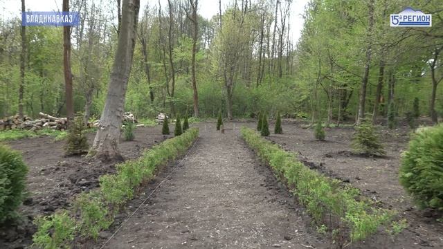 Помоги природе – посади дерево смотреть онлайн