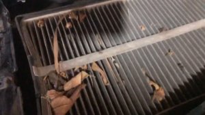 15-08-2024 Как заменить салонный фильтр Шевроле Нива 🔥