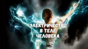 Электричество в теле человека