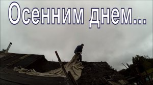 Осенним днем Укрыл сарай Купил пилу Курам рай