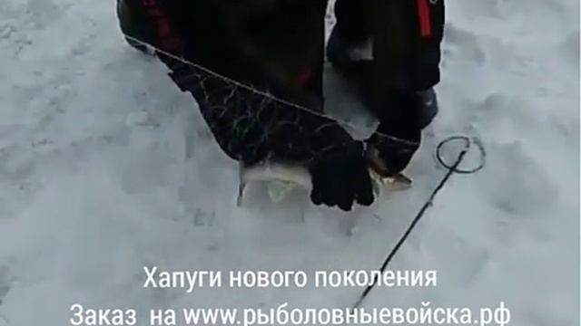 Хапуга пружинная поймала судака. Как купить хапугу рыболовную (гибрид экрана, косынок и подъёмника)