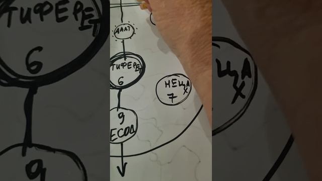 ПРО ДРЕВО СЕФИРОТ ПОЧТИ НЕЦЕНЗУРНО? ДОБИВОЧКА ПОСЛЕ СЕРЬЕЗНОЙ ТЕОРИИ смотреть онлайн