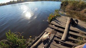 первая рыбалка на Favorite White Bird (2020) WBR1-762UL-T 2.29m 1.5-7g Fast и краш тест  Black Swan