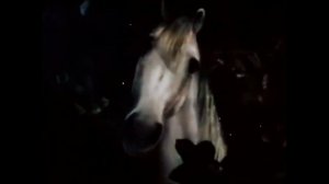 Георгий Иванов - Тускнеющий вечерний час. Читает Сергей Гармаш