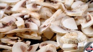 Сырный рулет с грибами. Как приготовить? | Готовим вкусно