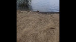 Участок Усть-Курдюм