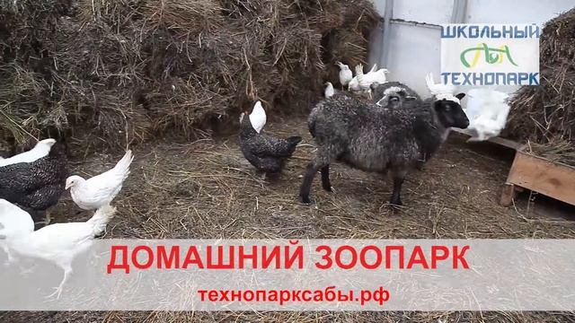 Школьный Технопарк Сабы смотреть онлайн