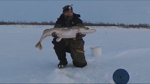 самые запоминающиеся моменты уходящего 2020 года  ТОП 5 + ,БОНУС ВИДЕО