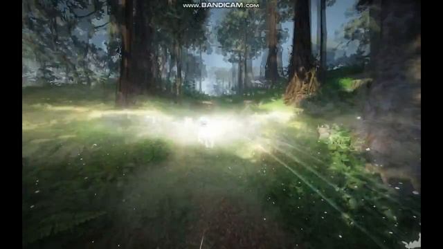 Black Desert Пегас Горы Вельтара - Чаща древних мудрецов смотреть онлайн