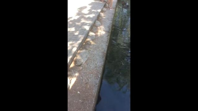 Новый Афон Парк смотреть онлайн