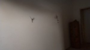 VID_20221219_105445.mp4