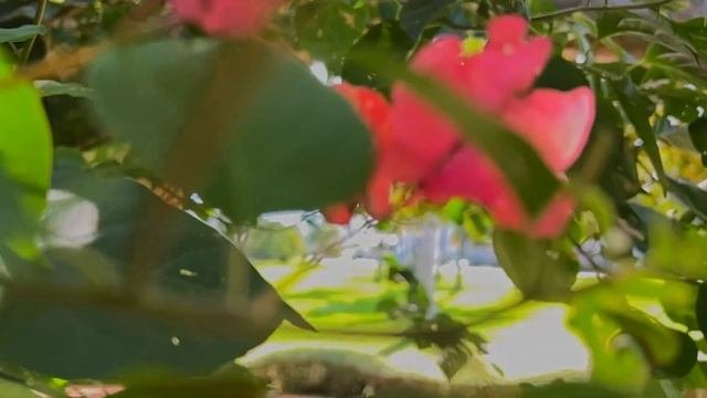 Движения со стабилизатором. 6 простых идей для начинающих