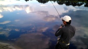 Ловля окуня. Р. Березина, г. Бобруйск