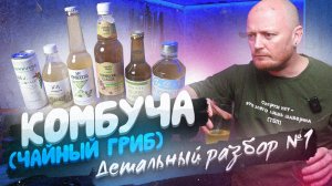 "Детальный разбор": КОМБУЧА/ЧАЙНЫЙ ГРИБ №1