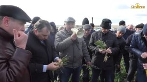 Прямой посев в Крыму. Посев озимого рапса. Опрыскиватель своими руками