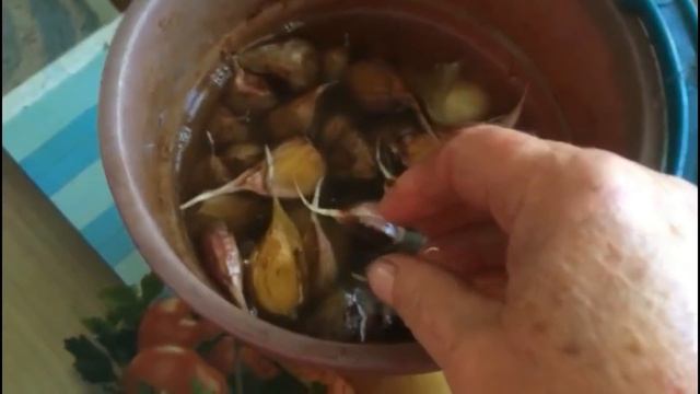 Сажаем чеснок. Вот и пришло время сажать чеснок...