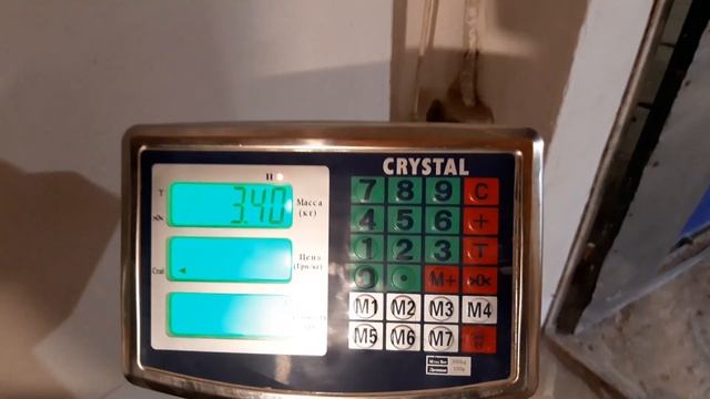 Бройлер коб 500 в 50 дней//взвешивание за 30 дней 3кг//на самодельном бмвд смотреть онлайн