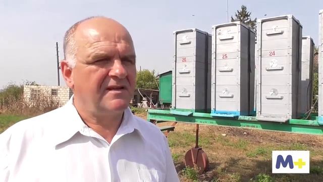 Moldova+: Пасека семьи Виктора Карамануцы смотреть онлайн