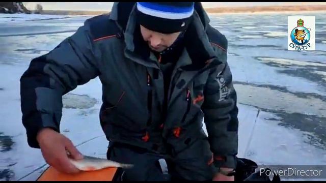 Пензенская Dear Рыбалка смотреть онлайн