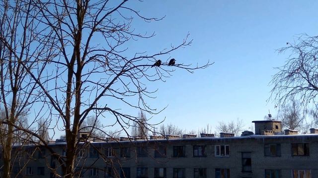 Videotest 4k смотреть онлайн