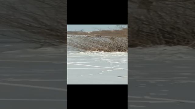  смотреть онлайн