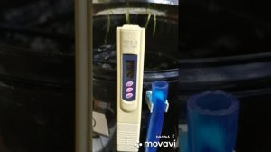 Что такое электропроводность воды в гидропонике