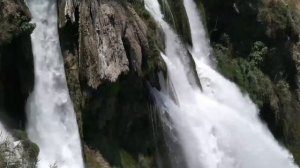 Теща говорит туда нельзя, зять уговорил. История из жизни.