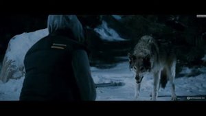 Ильдар Южный – Тайга   закон   (Видио)